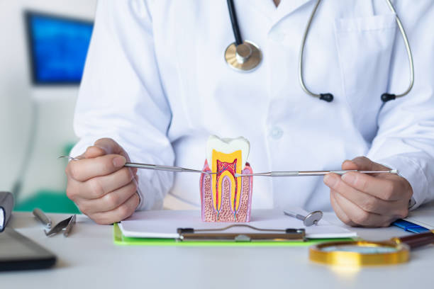 Best Emergency Root Canal Therapy in Holstein, IA
